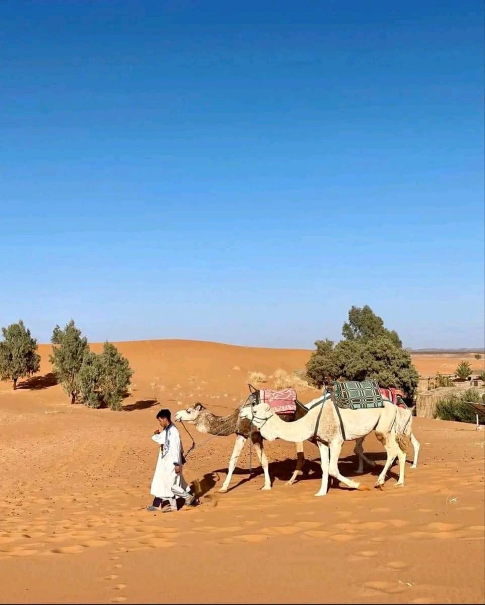 Tikida Camp By Tinfou Hotel Zagora Eksteriør billede